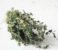 /album/cultivo-hidroponico-colombia/a1tomillo-jpg/